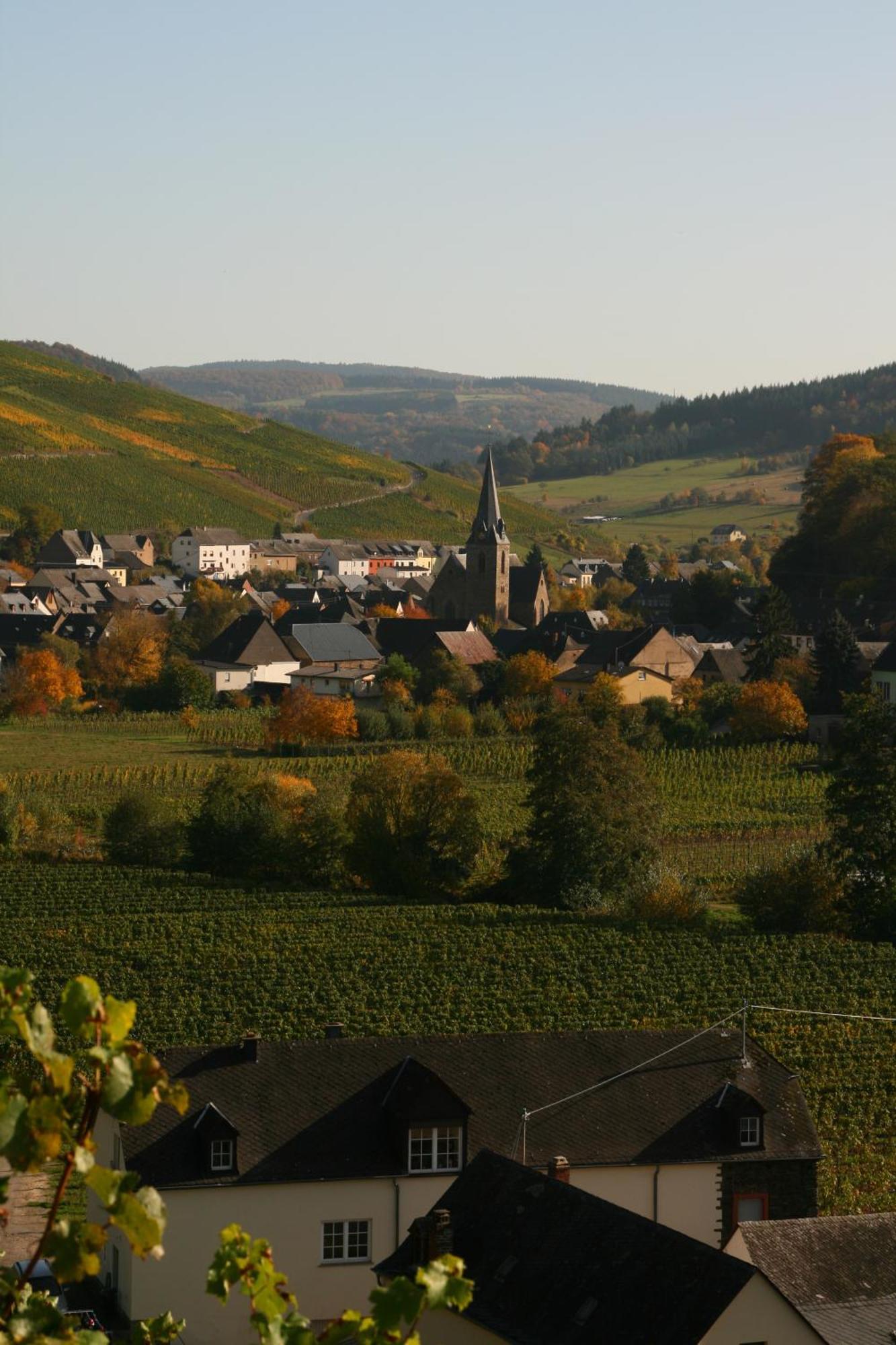 Weingut & Gaestehaus Stephan Kohl Neumagen-Dhron Exterior foto